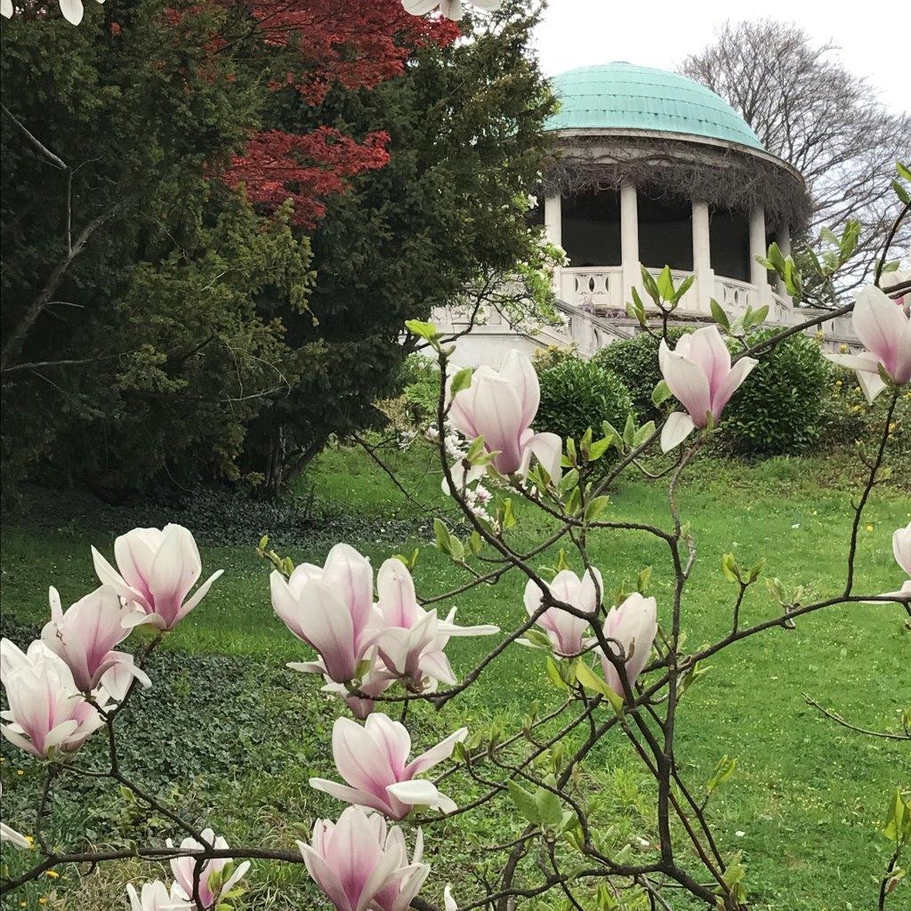 Kurpark Baden