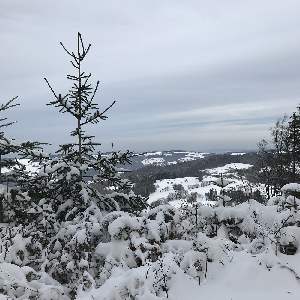 bei Kreisbach NÖ