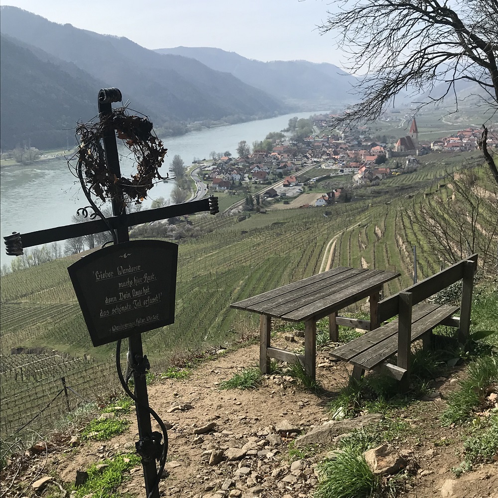 Blick auf Weißenkirchen in der Wachau